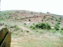 Sitio