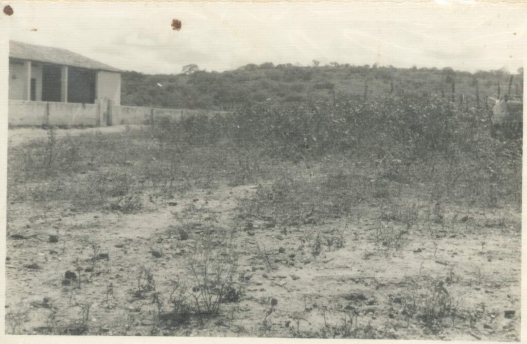 Escola Prof. manoel Joaquim Leite