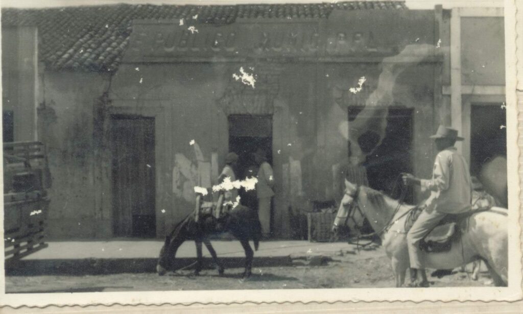 açougue público municipal