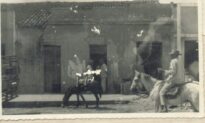 açougue público municipal