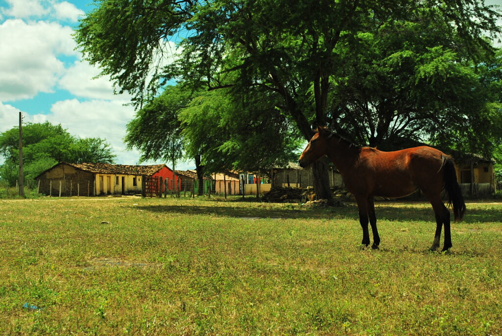 Fotos da visita da Fundarpe à Fazenda Araripe