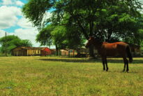Fotos da visita da Fundarpe à Fazenda Araripe