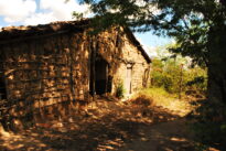 Fotos da visita da Fundarpe à Fazenda Araripe