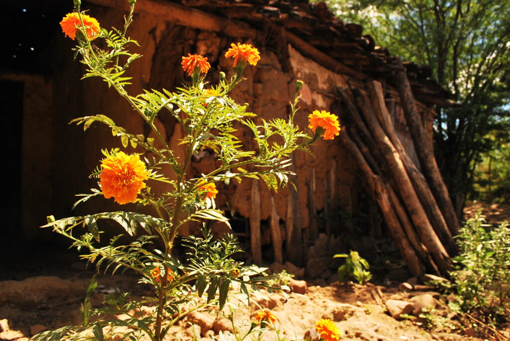 Fotos da visita da Fundarpe à Fazenda Araripe
