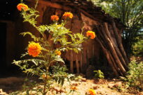 Fotos da visita da Fundarpe à Fazenda Araripe