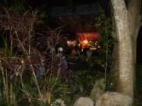 FIG - 2009