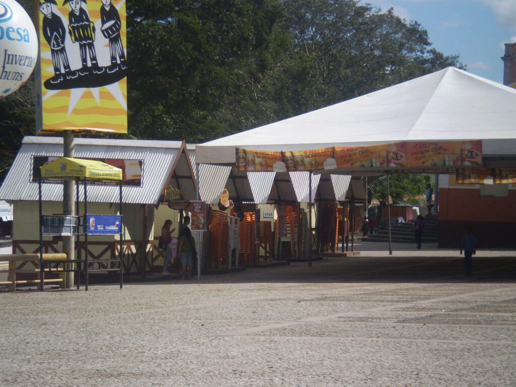 FIG - 2009