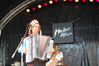 Dale Sanfoneiro