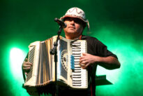 Nelson do Acordeon e Banda