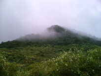 Serra da Passira