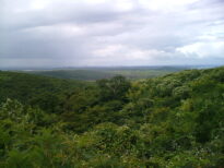 Serra da Passira