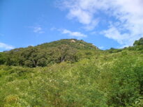 Serra da Passira