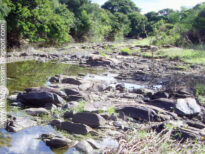 Rio Pajeú - Tuparetama - em agosto de 2009