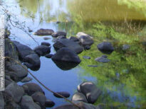 Rio Pajeú - Tuparetama - em agosto de 2009