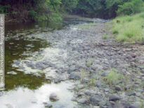 Rio Pajeú - Tuparetama - em agosto de 2009