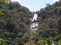 MATA DE PEDRA DANTAS