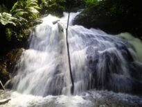 MATA DE PEDRAS DANTAS