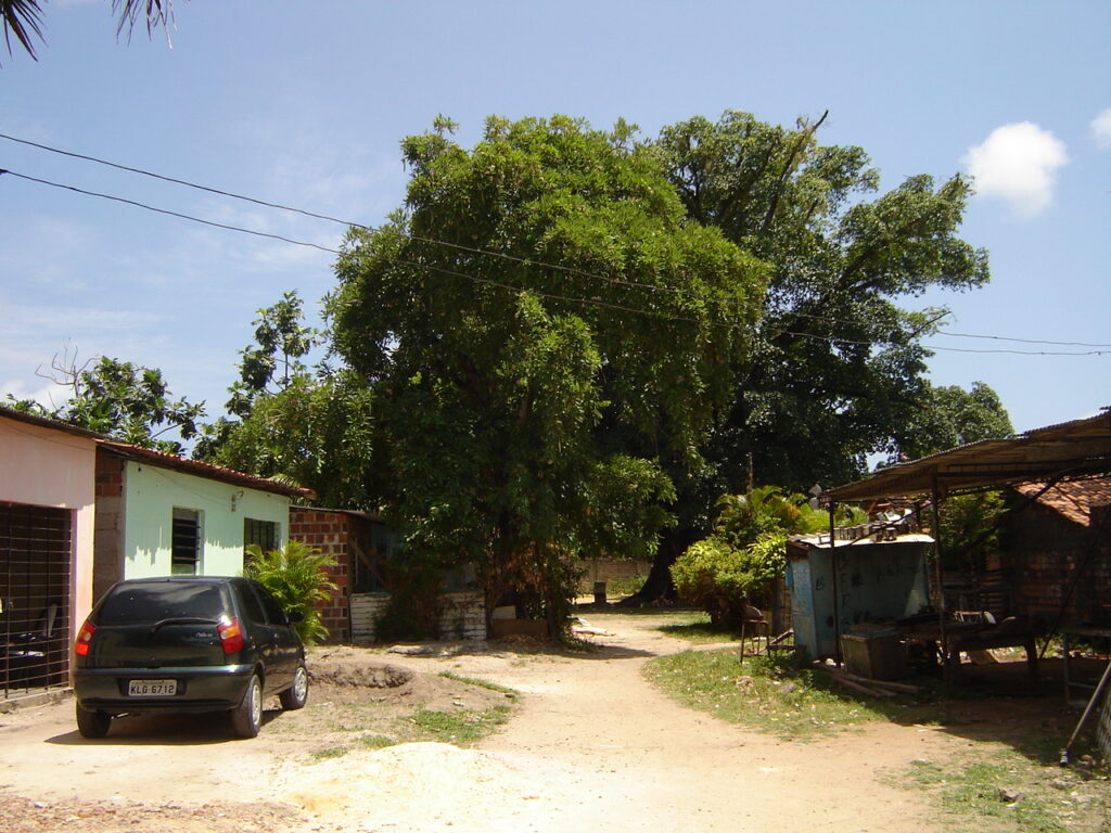 Sítio de Pai Adão