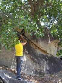 Furna do Estrago