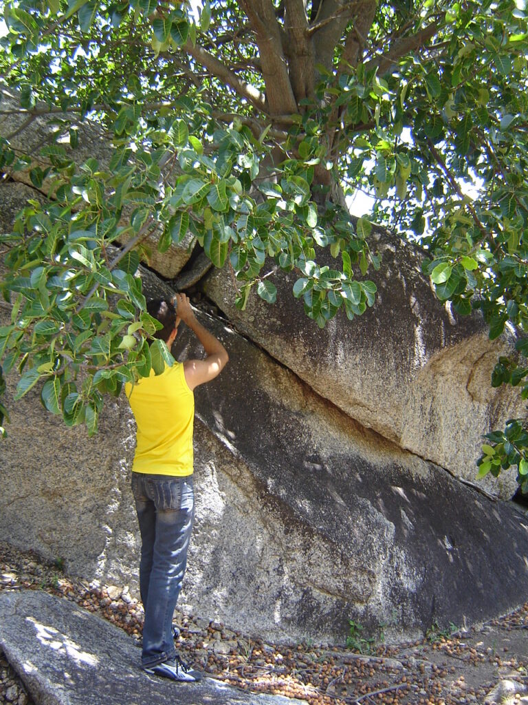 Furna do Estrago
