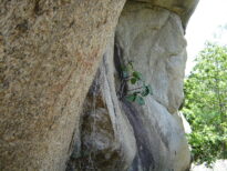 Pedra de Letreiro