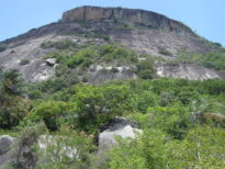 Paisagem do Brejo da Madre de Deus