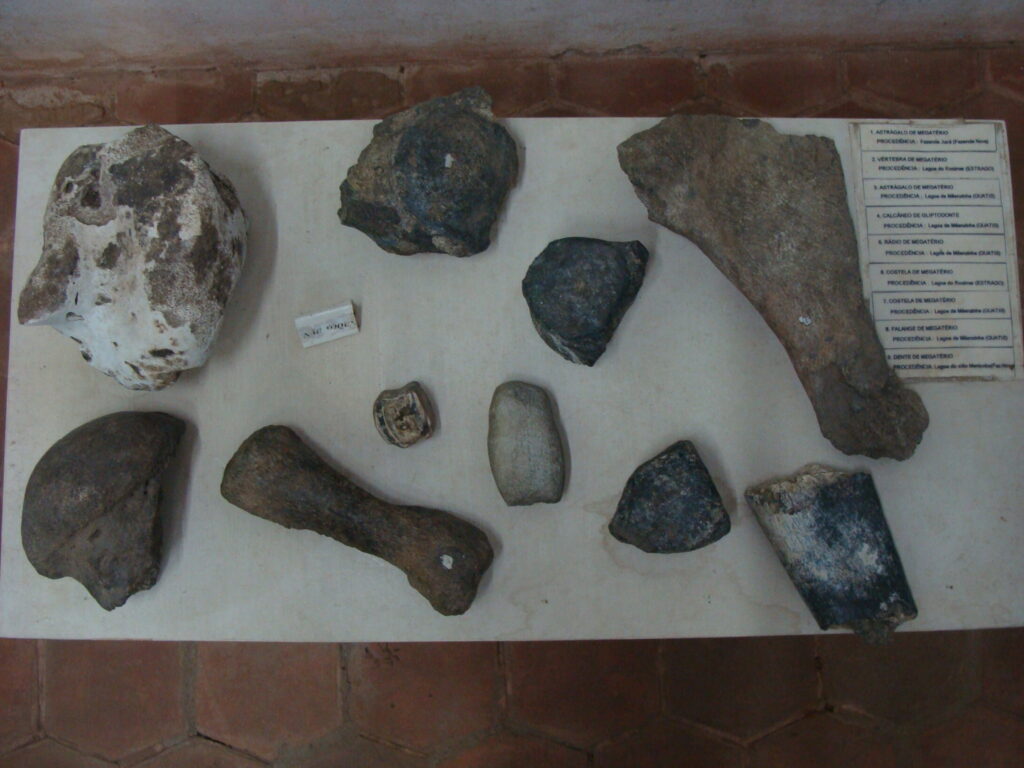 Museu do Brejo