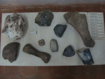 Museu do Brejo