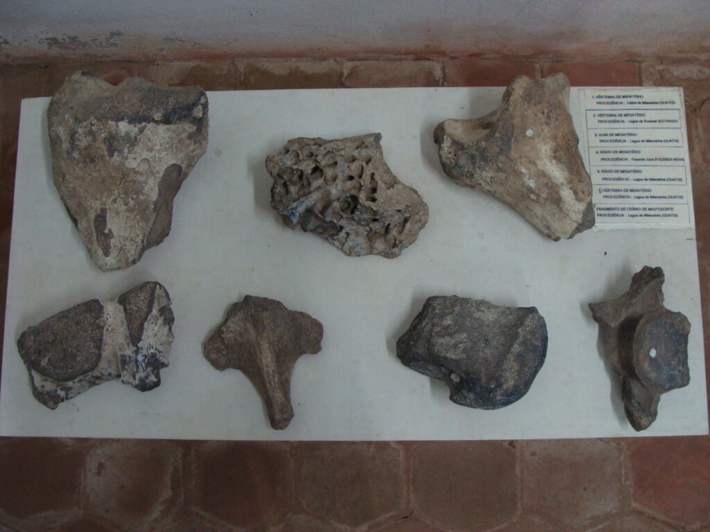 Museu do Brejo