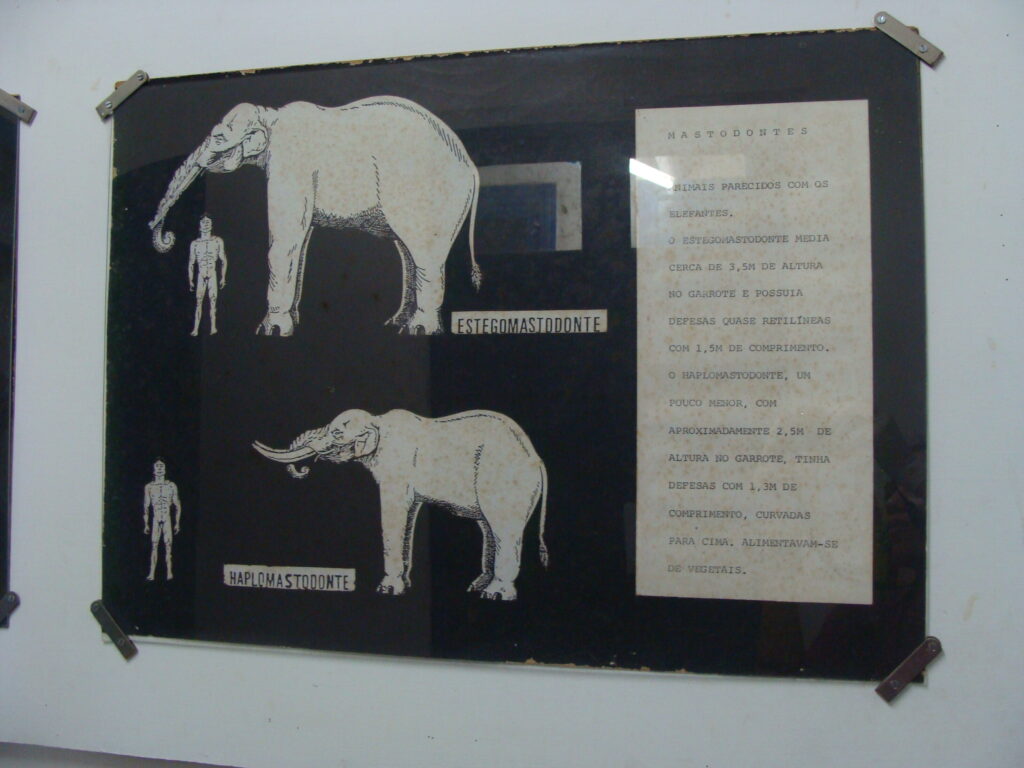 Museu do Brejo
