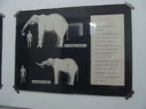Museu do Brejo