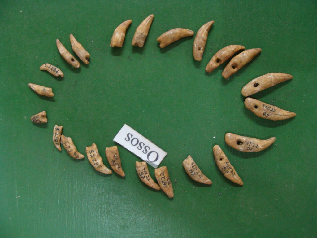 Museu do Brejo