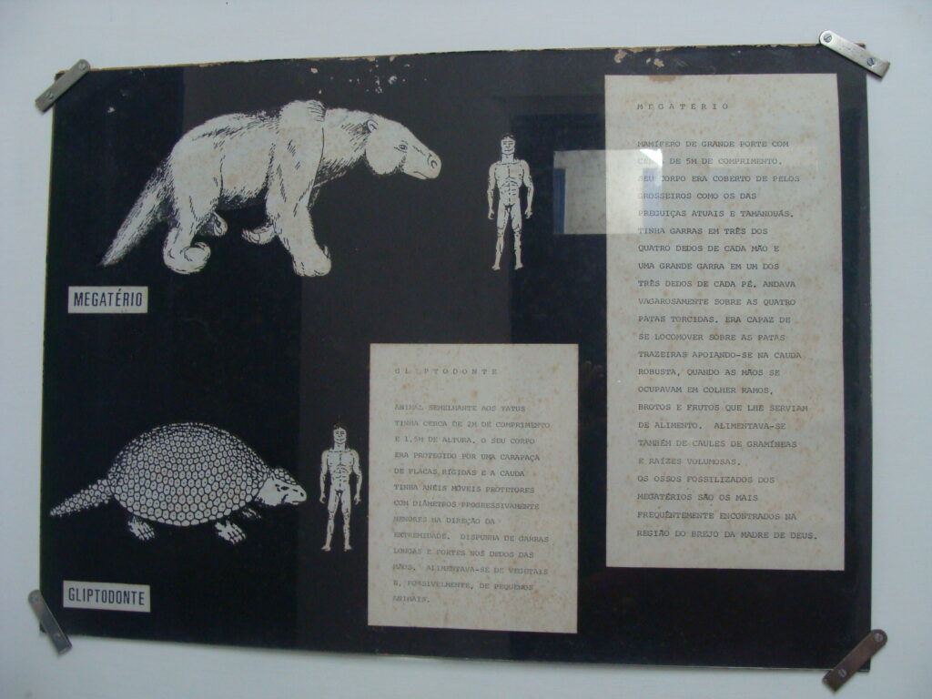 Museu do Brejo