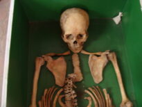 Museu do Brejo