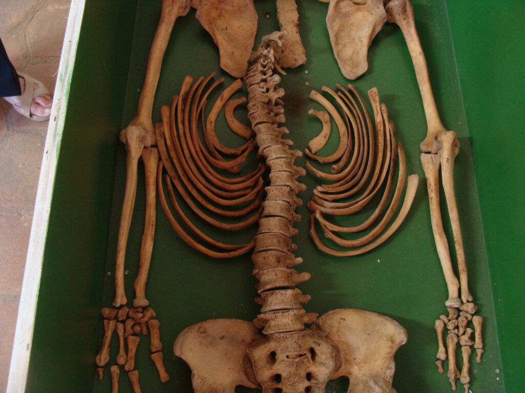 Museu do Brejo