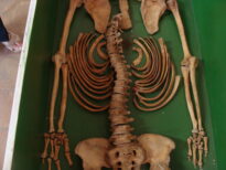 Museu do Brejo