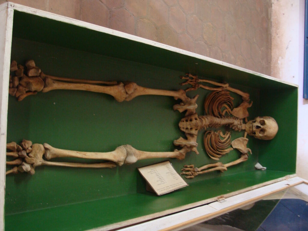 Museu do Brejo