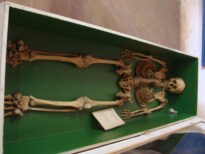 Museu do Brejo