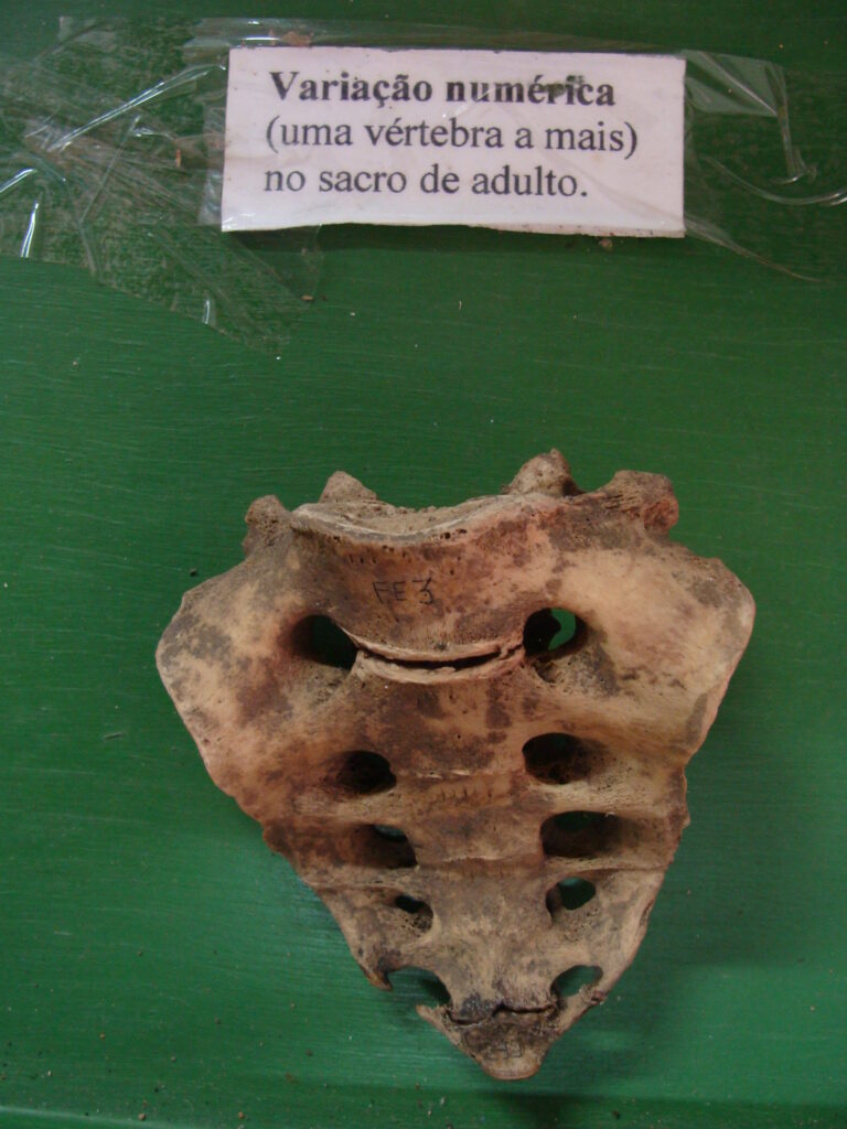 Museu do Brejo