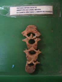 Museu do Brejo