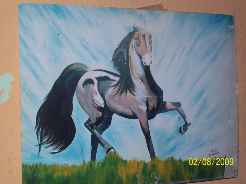 cavalo selvagem