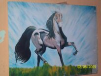 cavalo selvagem