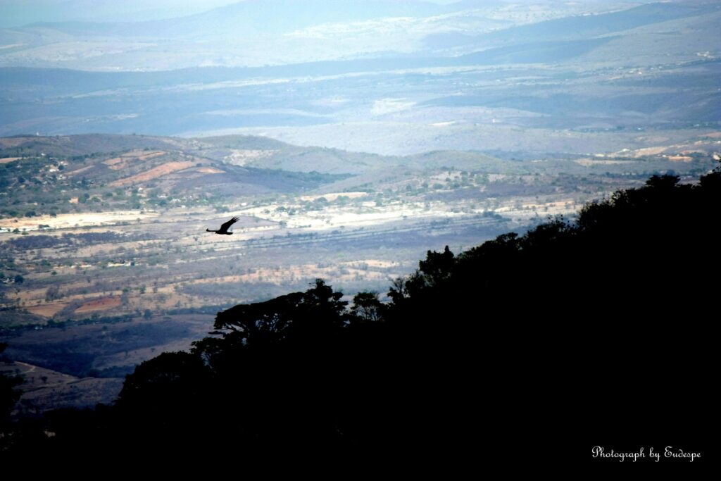 Fotografias de Pernambuco