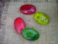sabonetes!!