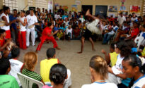 Células Culturais nas Escolas - Peixinhos