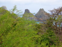 Fernando de Noronha
