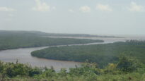 Povoado de São Lourenço de Tejucupapo