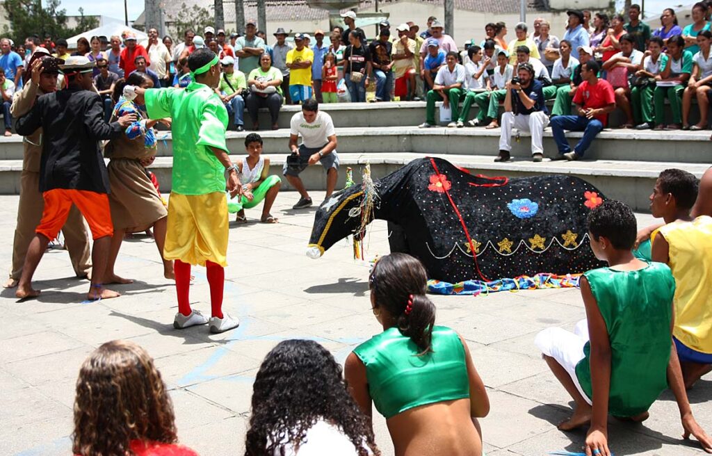 "A Saga do Boi Bandido" em Palmares
