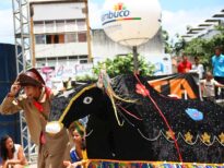 "A Saga do Boi Bandido" em Palmares