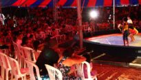 Circo Faz a Criança Sorrir
